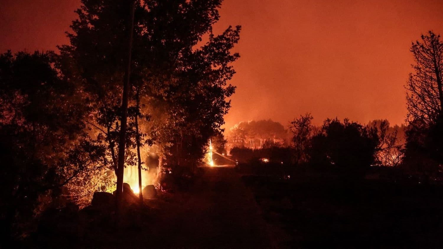 Des projections de "quelques mètres" à "plusieurs kilomètres" : on vous explique ce que sont les "sautes de feu" qui accélèrent la propagation des incendies