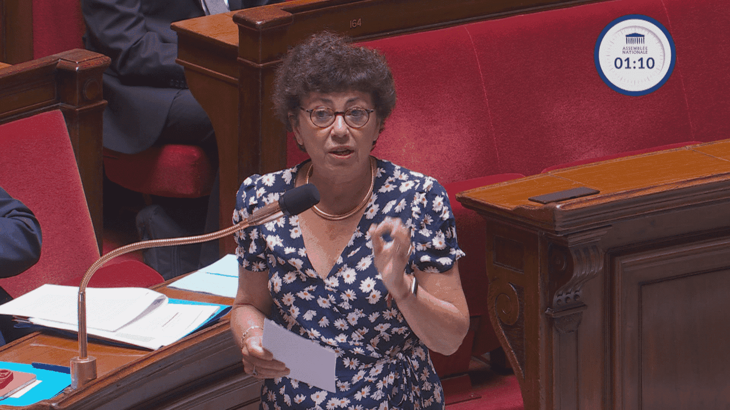 France Nature Environnement souhaite que la ministre Monique Barbut "puisse utiliser ce moment de notoriété pour faire vivre la question environnementale"