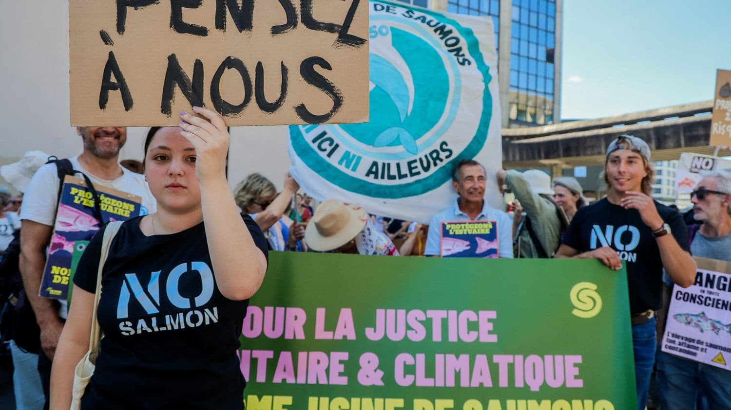 Mégaferme à saumons en Gironde : plusieurs ONG, dont Seastemik, annoncent préparer un recours contentieux contre son implantation